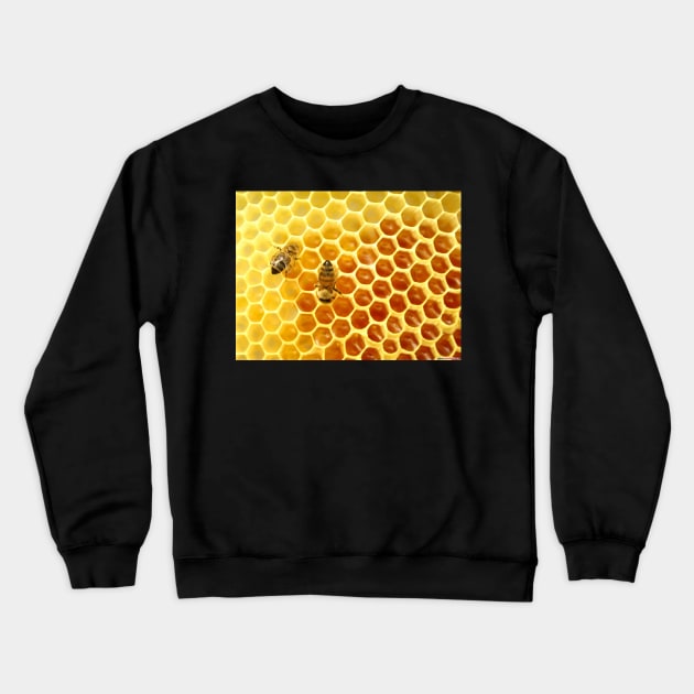 Honeycomb Crewneck Sweatshirt by foxxya